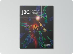 top-evidence-source-2